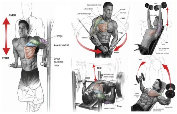 Upper chest Routine