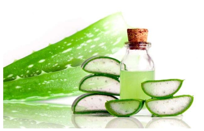 Aloe Vera Make-Up Removers oil